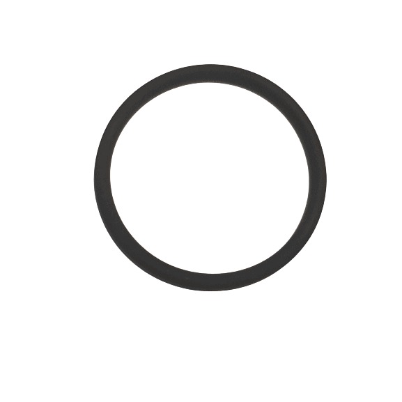 Dichtungsring Aroma Plus